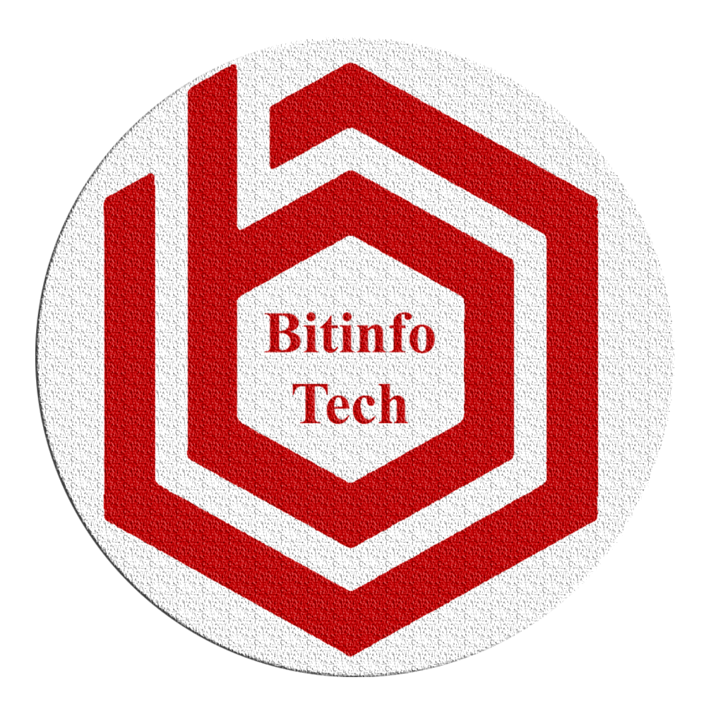 Bitinfo Technology Top IT Companies In Surat