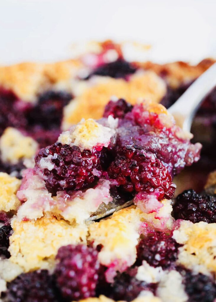 Blackberry Cobbler Recipe By Newszzers