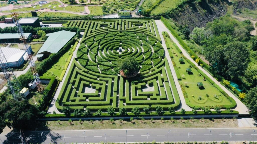 Maze Garden